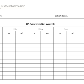 BZ-Dokumentation in mmol/l